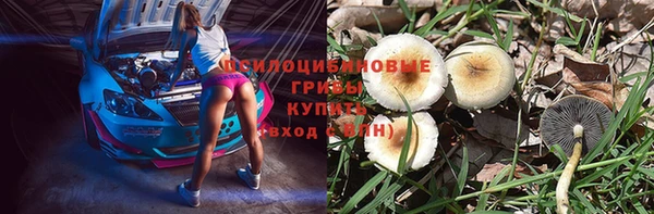 2c-b Вязники