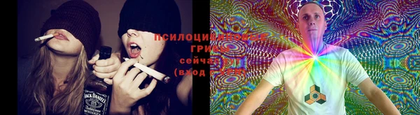 спайс Вязьма